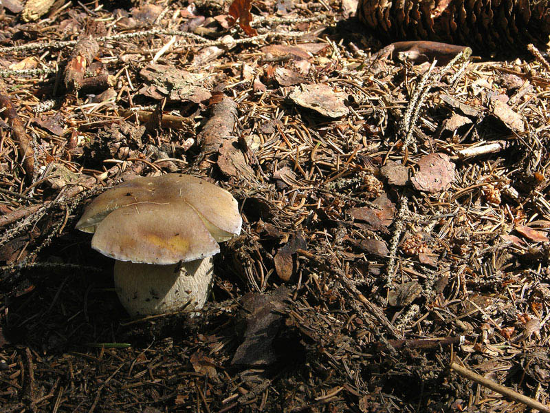 Ritrovamenti del 19 luglio.